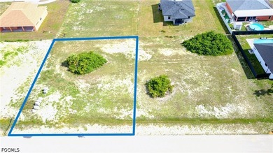 Build your dream home on this beautiful 1/4-acre vacant lot in - photo 3
