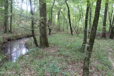 (private lake, pond, creek) Acreage For Sale in Brookhaven Mississippi