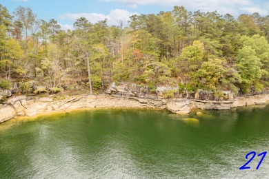 Smith Lake (Ryan Creek) Just released! One of the final pieces - Lake Lot For Sale in Crane Hill, Alabama