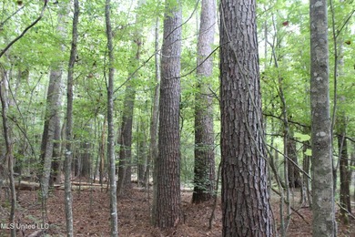 Welcome to this beautiful wooded tract of land located in - photo 2