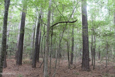 Welcome to this beautiful wooded tract of land located in - photo 3