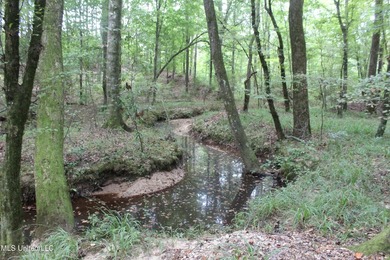 Welcome to this beautiful wooded tract of land located in - photo 5