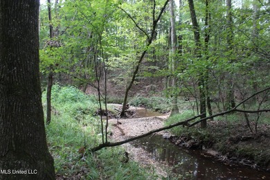 Welcome to this beautiful wooded tract of land located in - photo 7