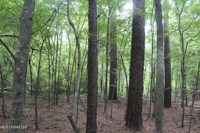 Welcome to this beautiful wooded tract of land located in - photo 8