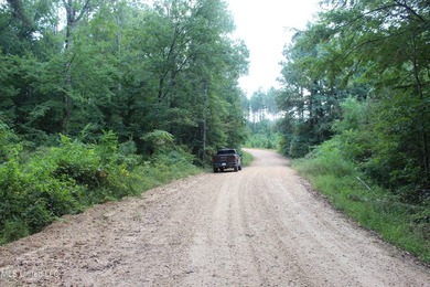 Welcome to this beautiful wooded tract of land located in - photo 9