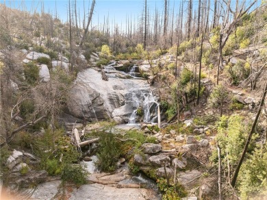 Lake Acreage For Sale in Berry Creek, California