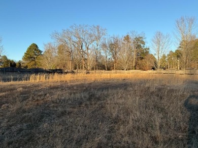 Want to be on the Golf Course? Take a look at this .72 Acre Lot