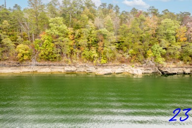 Lake Lot For Sale in Crane Hill, Alabama