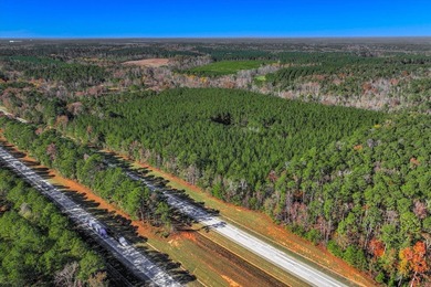(private lake, pond, coastal) Acreage For Sale in Appling Georgia