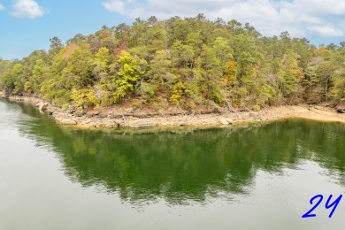 Smith Lake (Ryan Creek) Just released! One of the final pieces - Lake Lot For Sale in Crane Hill, Alabama