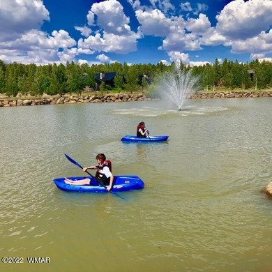 Beautiful 1.03 acre lot at Sierra Springs Ranch backing National - photo 11