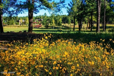 Beautiful 1.03 acre lot at Sierra Springs Ranch backing National - photo 14