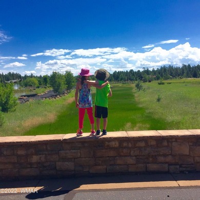 Beautiful 1.03 acre lot at Sierra Springs Ranch backing National - photo 15