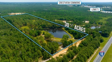 Lake Acreage For Sale in Crestview, Florida