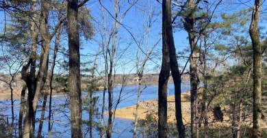 Lake Lot For Sale in Bremen, Alabama