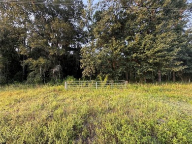 Newnans Lake Lot For Sale in Gainesville Florida