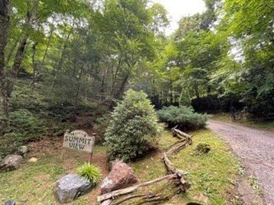 Great Lot with Lake View- driveway roughed in. Appalachian - photo 2