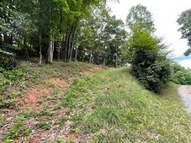 Great Lot with Lake View- driveway roughed in. Appalachian - photo 3