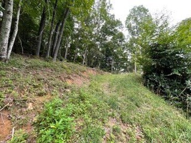 Great Lot with Lake View- driveway roughed in. Appalachian - photo 4