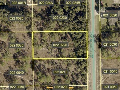 Lehigh Acres Area Lot For Sale in Lehigh Acres Florida