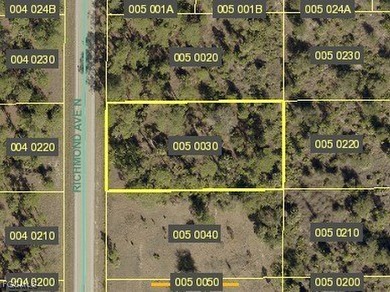 Lehigh Acres Area Lot For Sale in Lehigh Acres Florida