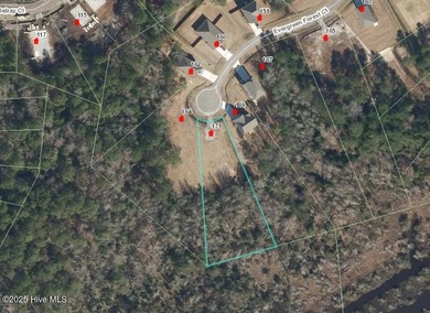 One of the few sewer-served homesites remaining in the Sneads - photo 8