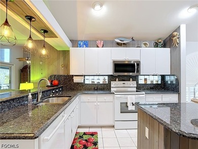 Welcome to Palm Island, one of North Fort Myers' most desirable - photo 7