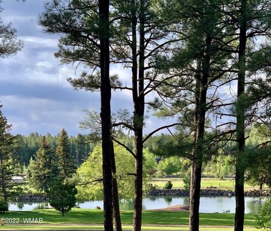 Beautiful 1.5 acre lot at Sierra Springs Ranch. Meadow lot with - photo 17