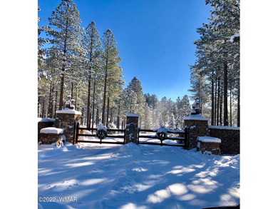 Beautiful 1.5 acre lot at Sierra Springs Ranch. Meadow lot with - photo 18