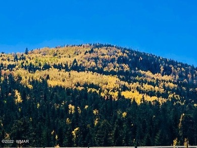 Beautiful 1.5 acre lot at Sierra Springs Ranch. Meadow lot with - photo 19
