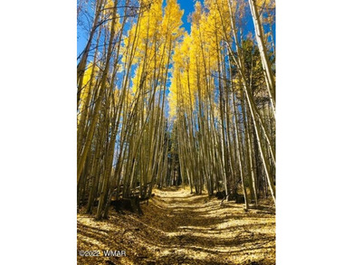 Beautiful 1.5 acre lot at Sierra Springs Ranch. Meadow lot with - photo 20