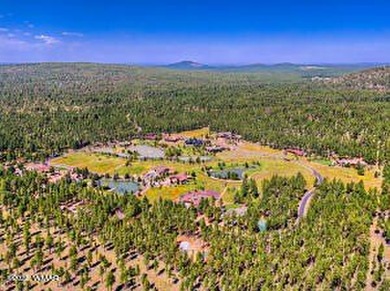 Beautiful 1.5 acre lot at Sierra Springs Ranch. Meadow lot with - photo 21