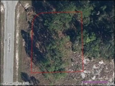 Lake June in Winter Lot For Sale in Lake Placid Florida