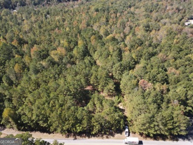 Lake Acreage For Sale in Loganville, Georgia