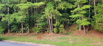Sandy Lake Lot For Sale in Lithonia Georgia