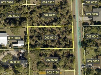 Lehigh Acres Area Lot For Sale in Lehigh Acres Florida