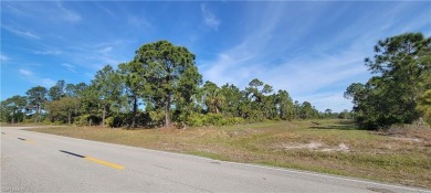 Lehigh Acres Area Lot For Sale in Lehigh Acres Florida