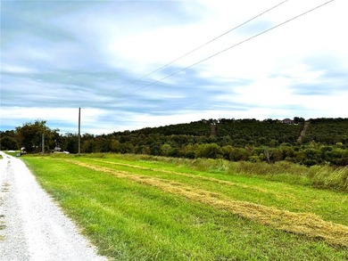 This Beautiful 11.01 acre Kings River front tract is now - photo 3