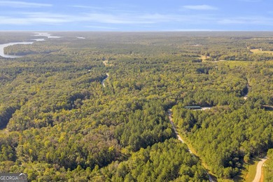 Discover the perfect setting for your dream home on this - photo 13