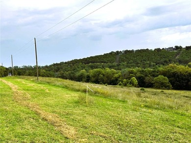 This Beautiful 11.01 acre Kings River front tract is now - photo 5