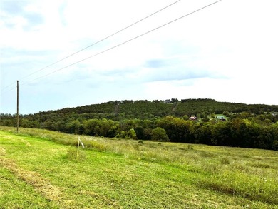 This Beautiful 11.01 acre Kings River front tract is now - photo 6