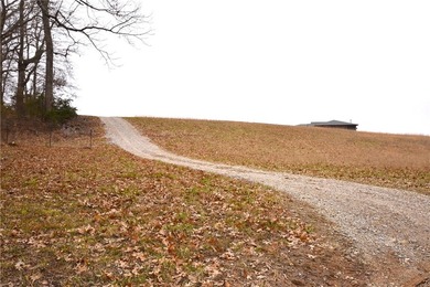 This Beautiful 11.01 acre Kings River front tract is now - photo 7