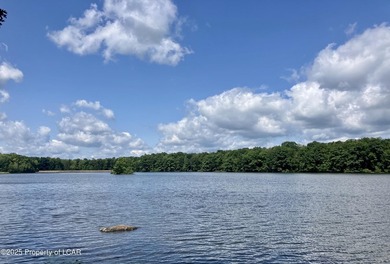 Attractive 3BR 2Bth cedar sided lakefront ranch offers stunning - photo 36