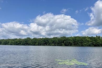 Attractive 3BR 2Bth cedar sided lakefront ranch offers stunning - photo 38