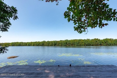 Attractive 3BR 2Bth cedar sided lakefront ranch offers stunning - photo 40