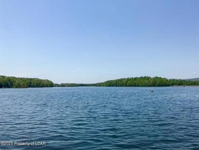 Attractive 3BR 2Bth cedar sided lakefront ranch offers stunning - photo 41