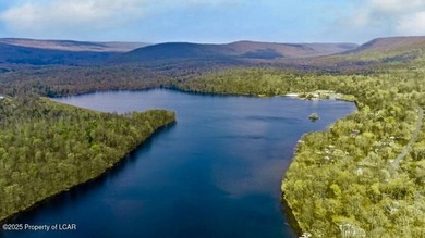 Attractive 3BR 2Bth cedar sided lakefront ranch offers stunning - photo 42