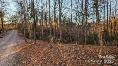 Outstanding 0.41 Acre Wooded Lot For Sale in one of the Best - Lake Lot For Sale in Lake Lure, North Carolina