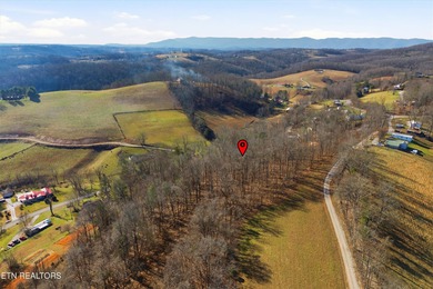 An exciting opportunity to own 1.15 unrestricted acres in - photo 7