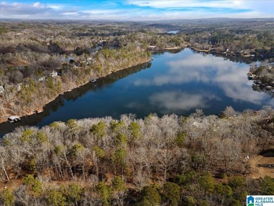 Look at that spectacular view! This property consists of three - photo 11